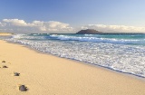 Plaża w Corralejo (Fuerteventura, Wyspy Kanaryjskie)