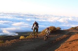 Mountain bike in Tenerife