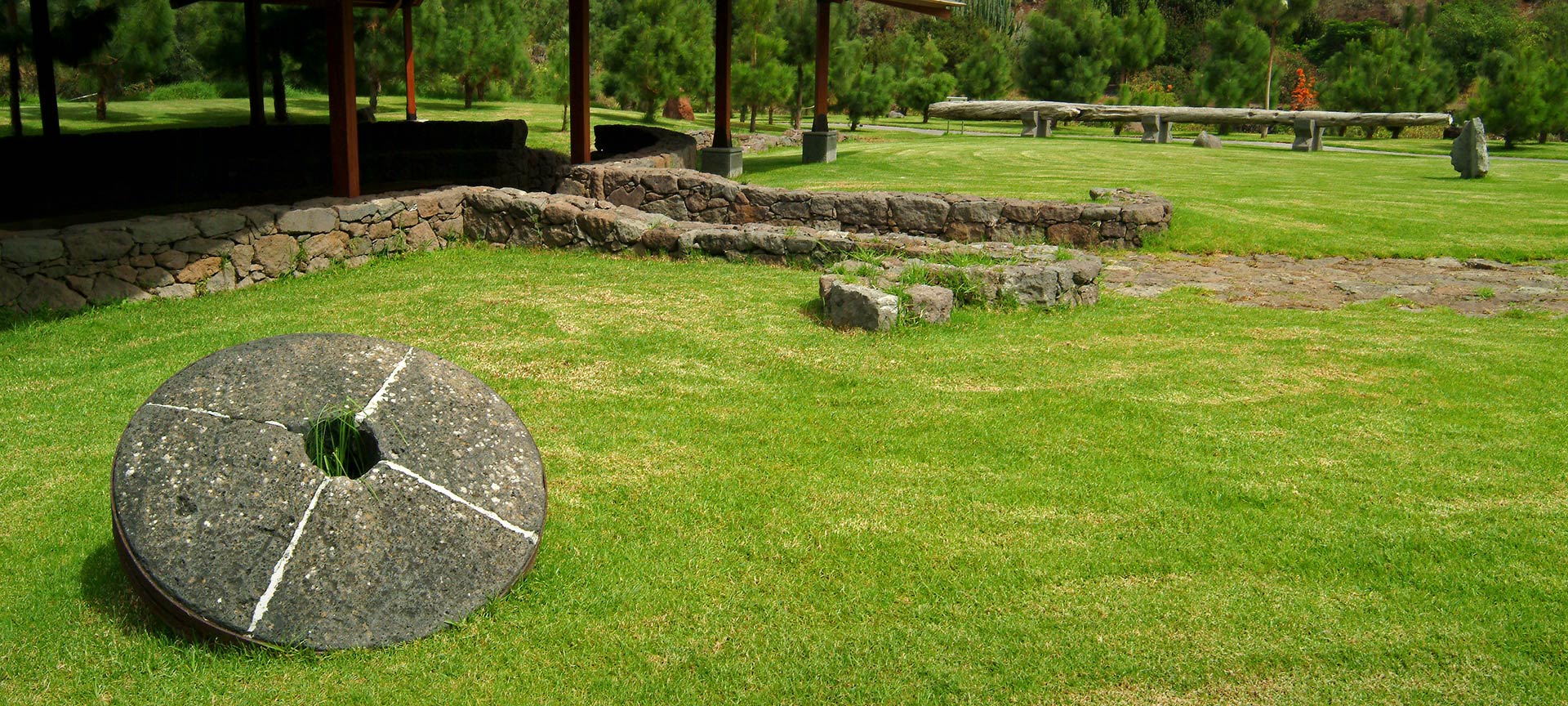 Ботанический сад Вьера-и-Клавихо