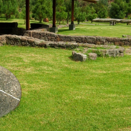 Jardín Botánico de Viera y Clavijo