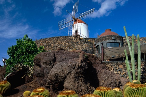 Kakteengarten. Lanzarote