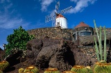 Jardim de Cactos, Lanzarote