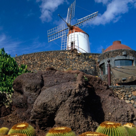 Ogród Kaktusów, Lanzarote