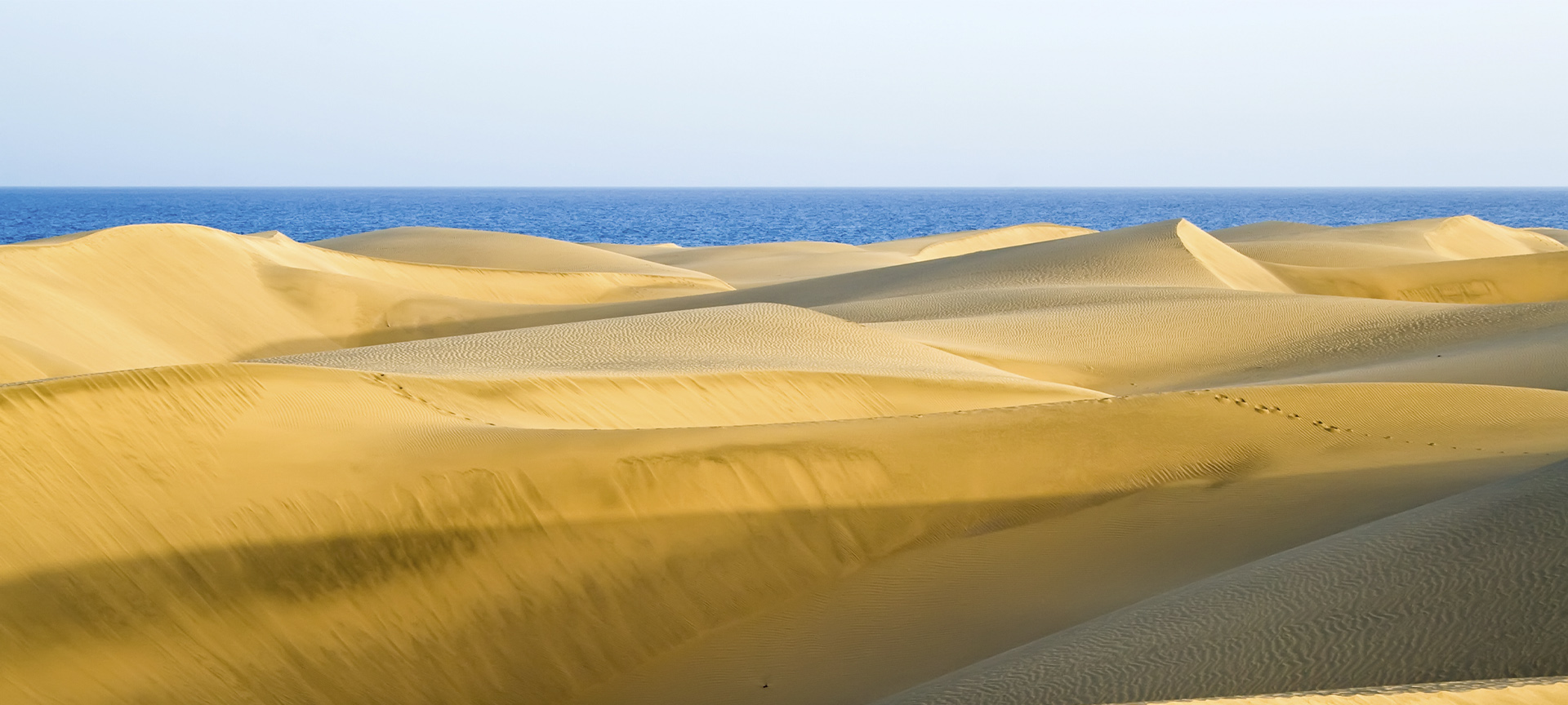 Maspalomas beach in Gran Canaria (Canary Islands)
