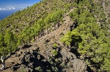 Parco Nazionale della Caldera de Taburiente