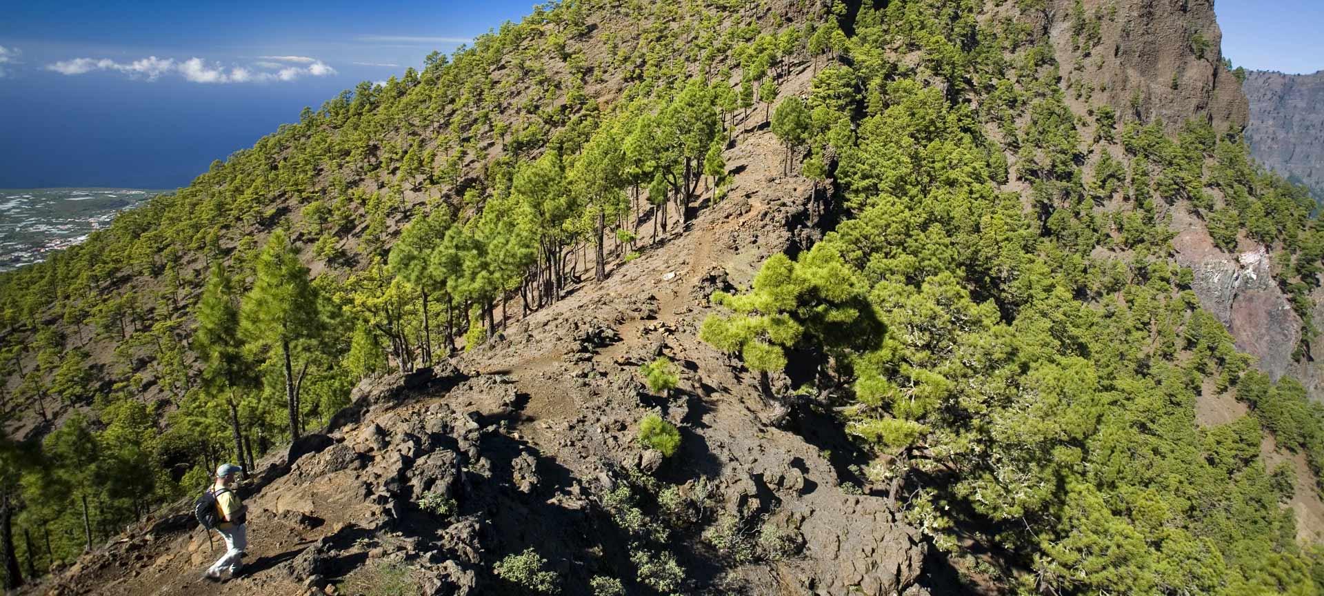 Parco Nazionale della Caldera de Taburiente Parco Nazionale della Caldera de Taburiente