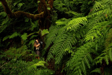 テネリフェ島でハイキング