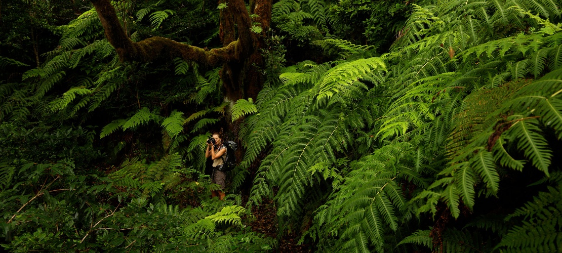 Trekking a Tenerife