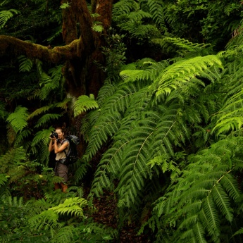 Trekking a Tenerife