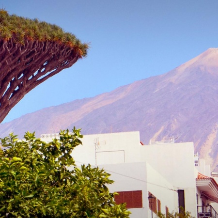 Icod de los Vinos. Teneriffa