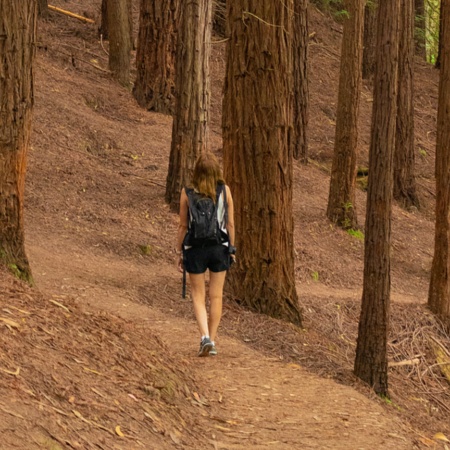 Mujer caminando en el bosque de secuoyas del Monte Cabezón, en Cantabria