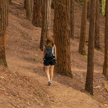 Donna che cammina nel bosco di sequoie del Monte Cabezón, in Cantabria