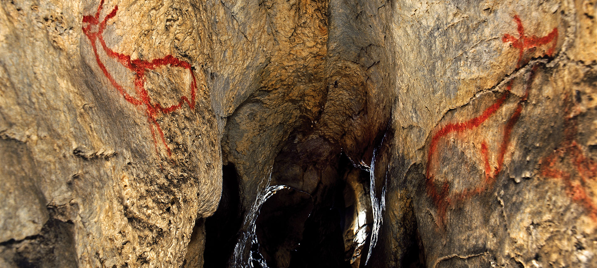 Covalanas Cave. Cantabria