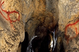 Grotte des Covalanas. Cantabrie