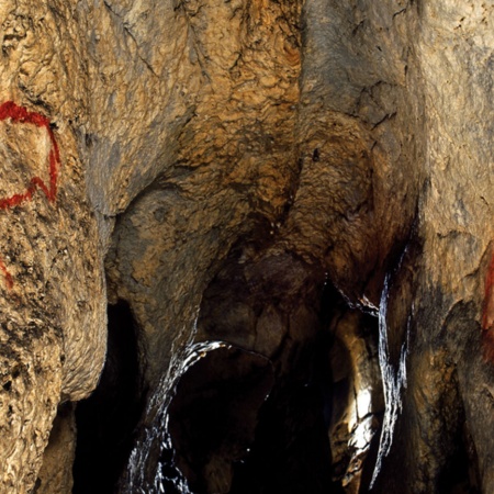 Gruta de Covalanas. Cantábria