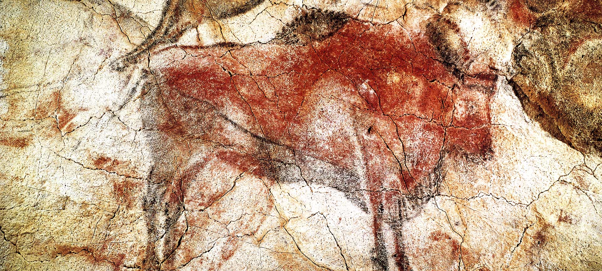 Detail of the Altamira caves in Santillana del Mar, (Cantabria) Detail of the Altamira caves in Santillana del Mar, (Cantabria)