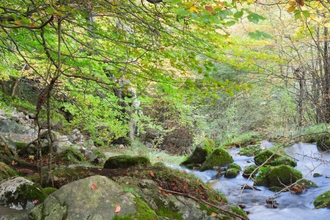 Parque Natural los Collados del Asón, Cantabria