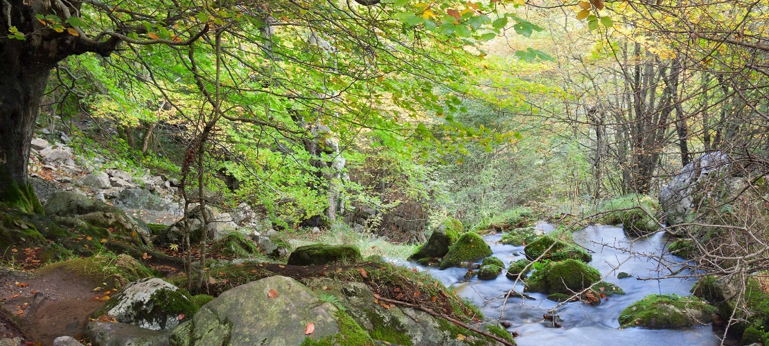 Parque Natural los Collados del Asón, Cantabria