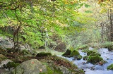 Naturpark Collados del Ason, Kantabrien