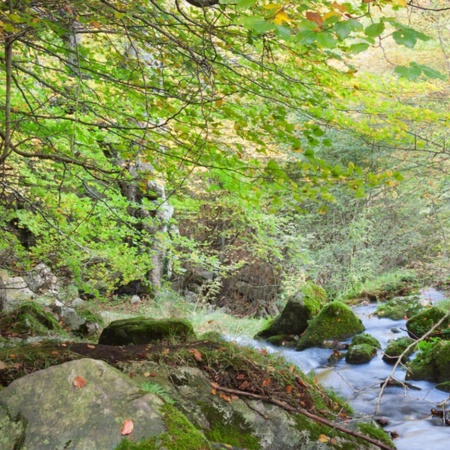 Naturpark Collados del Ason, Kantabrien