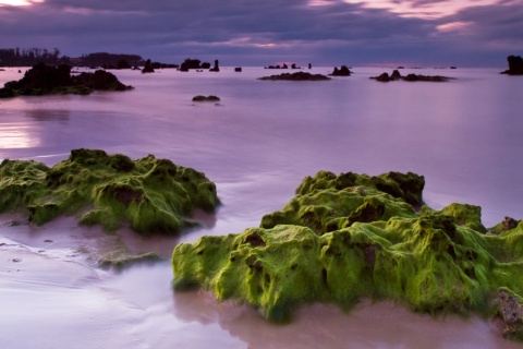 Trengandin Beach in Noja (Cantabria)