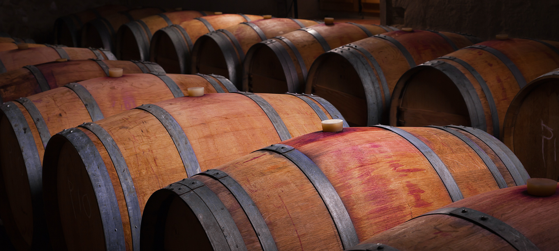 Wine barrels in an old winery in Ribera del Duero, Castilla y Leon
