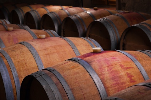 Barriles de vino en una antigua bodega de Ribera del Duero, Castilla y León