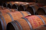 Barriles de vino en una antigua bodega de Ribera del Duero, Castilla y León