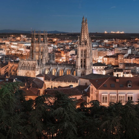 View of Burgos with the cathedral in the foreground