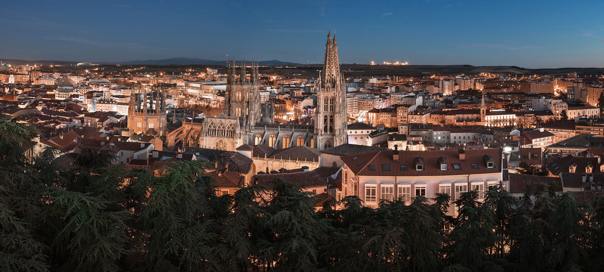 Vista de Burgos con la catedral en primer plano