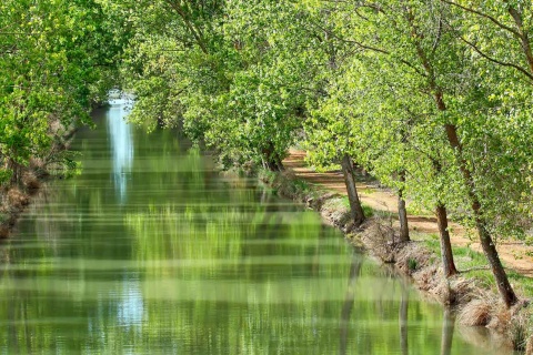 The Canal de Castilla on its course through Medina de Rioseco, Valladolid