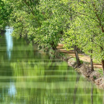 The Canal de Castilla on its course through Medina de Rioseco, Valladolid