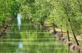 The Canal de Castilla on its course through Medina de Rioseco, Valladolid