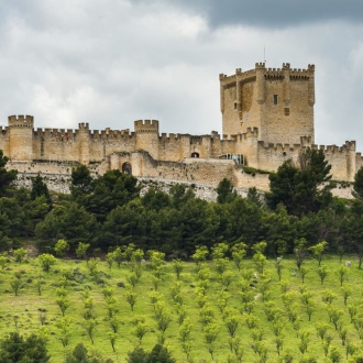 Castillo de Peñafiel. Valladolid