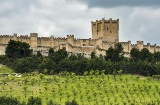 Castelo de Peñafiel. Valladolid