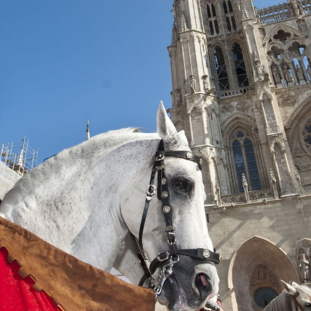 Week-end du Cid en face de la cathédrale de Burgos (Burgos, Castille-León)