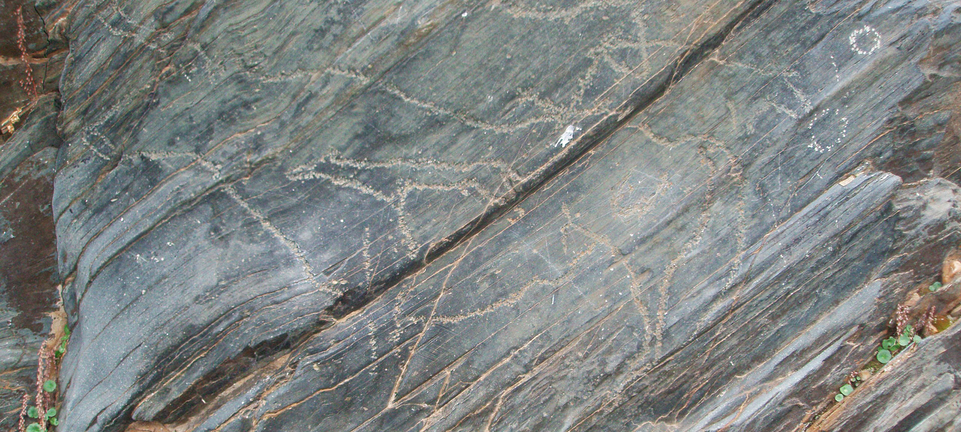 Felskunst-Station Siega Verde. Salamanca