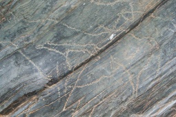 Siega Verde Rock Art. Salamanca