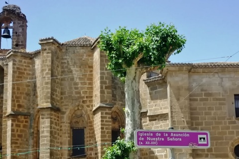 Церковь Нуэстра-Сеньора-де-ла-Асунсьон. Эль-Барко-де-Авила
