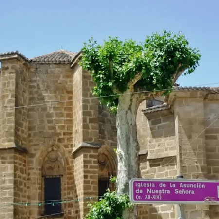 Église Mayor de Nuestra Señora de la Asunción