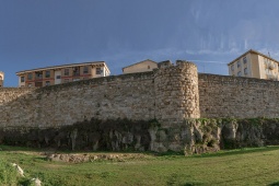Cinta muraria di Zamora