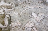 Археологический памятник-музей Амброны