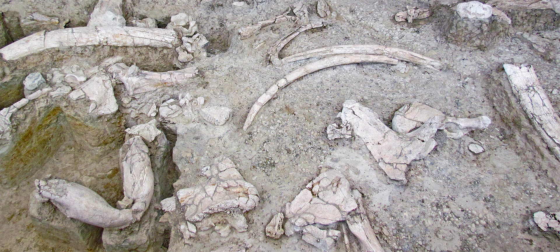 Yacimiento-Museo Arqueológico de Ambrona Yacimiento-Museo Arqueológico de Ambrona