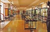 Museu Numantino. Sória