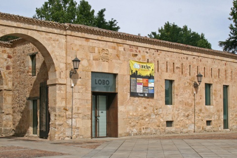 Museu Baltasar Lobo. Zamora