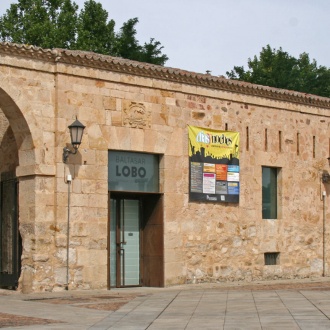 Muzeum Baltasara Lobo. Zamora