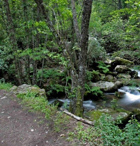 Escultura ‘Caminho da Água’ no Parque Natural Las Batuecas-Sierra de Francia. Salamanca