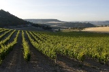 Quintanilla de Onésimo
