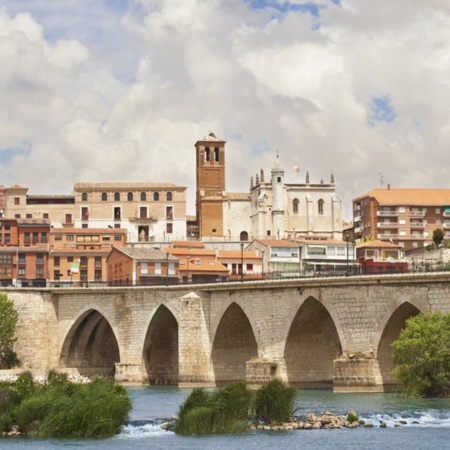 Panoramic view of Tordesillas, Valladolid (Castilla y León)