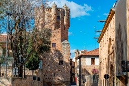 エル・クラベロの塔サラマンカ